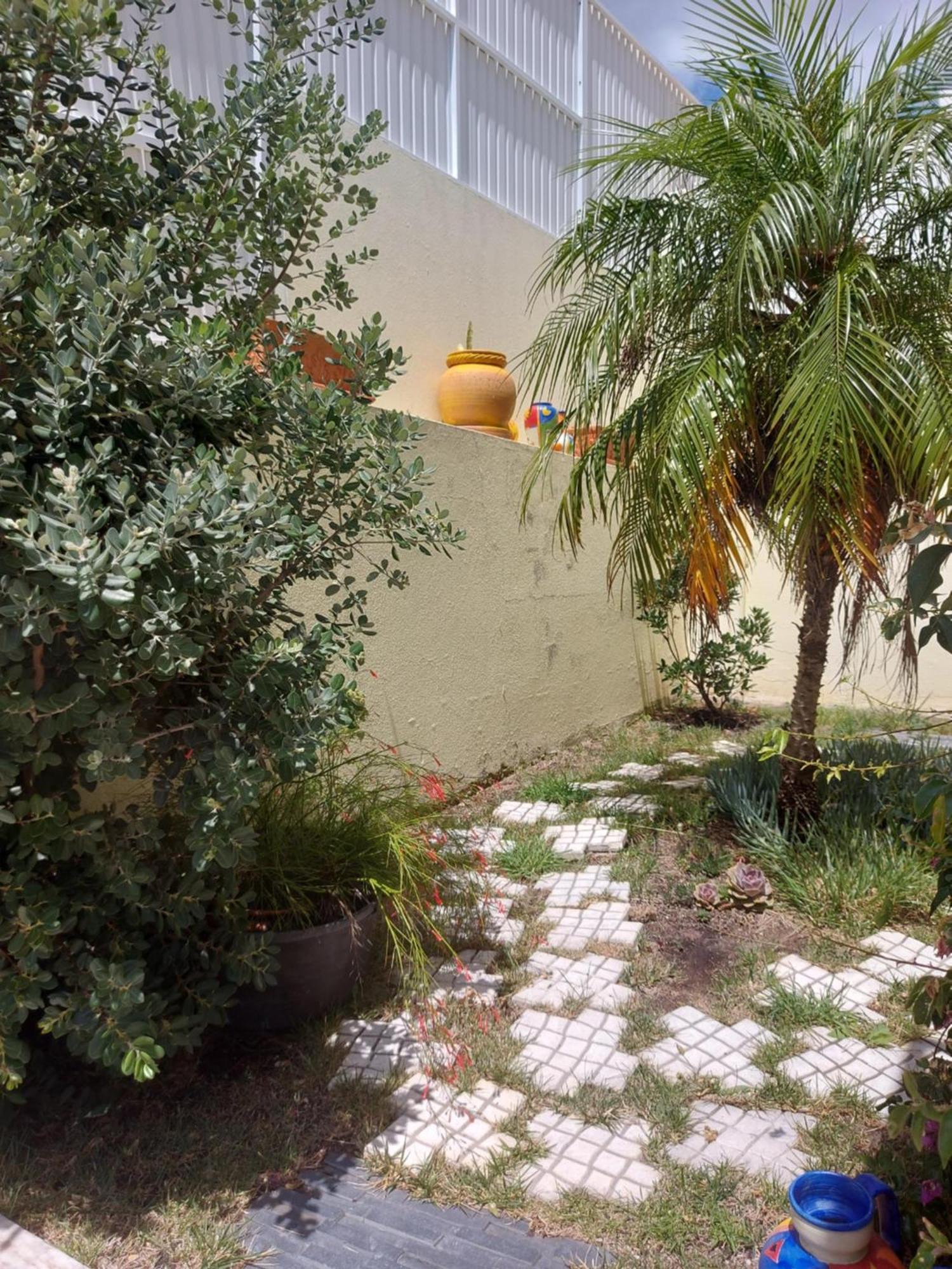 Casa Da Palmeira セシンブラ エクステリア 写真